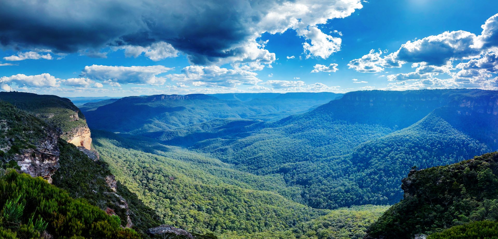 Retreat Gardens and Surrounds Photo 5