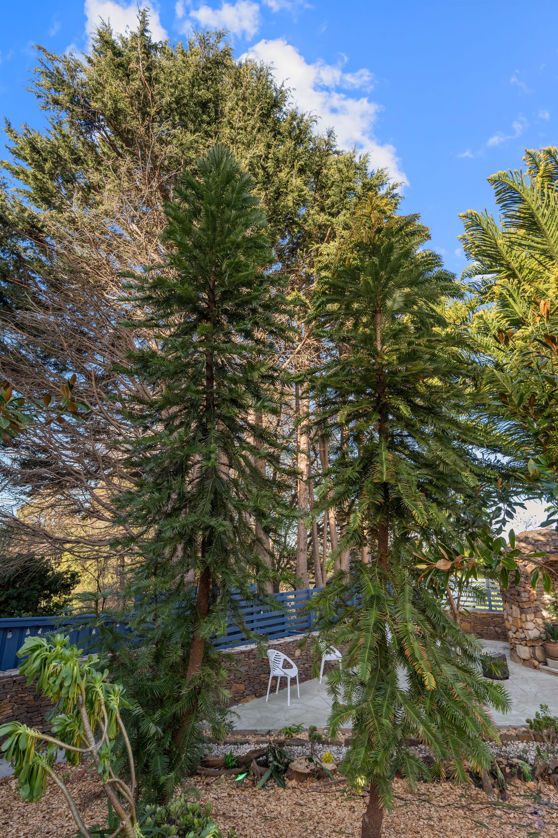 Palace Courtyard and Garden Photo 1