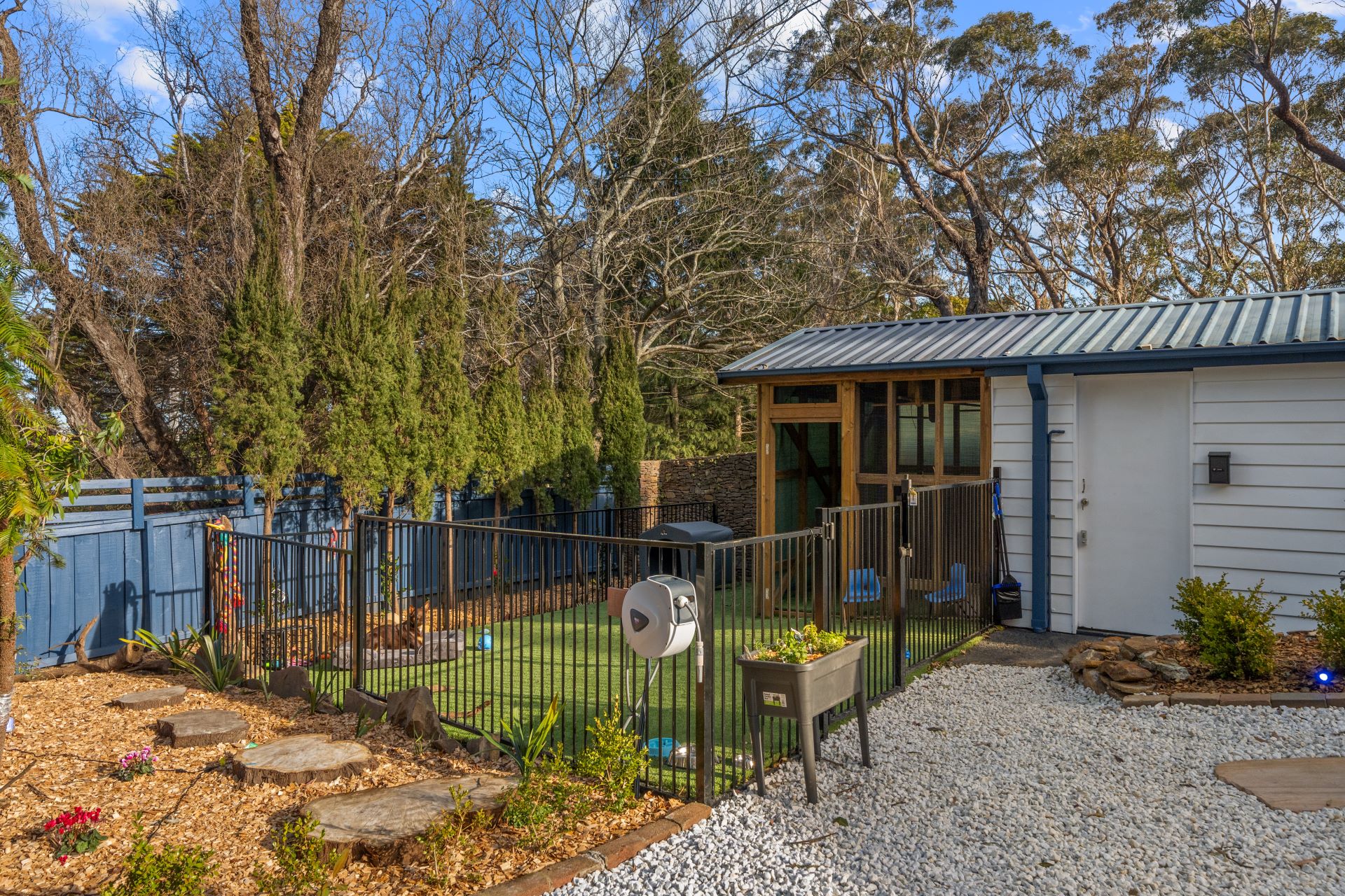 Palace Pet Area Photo 4